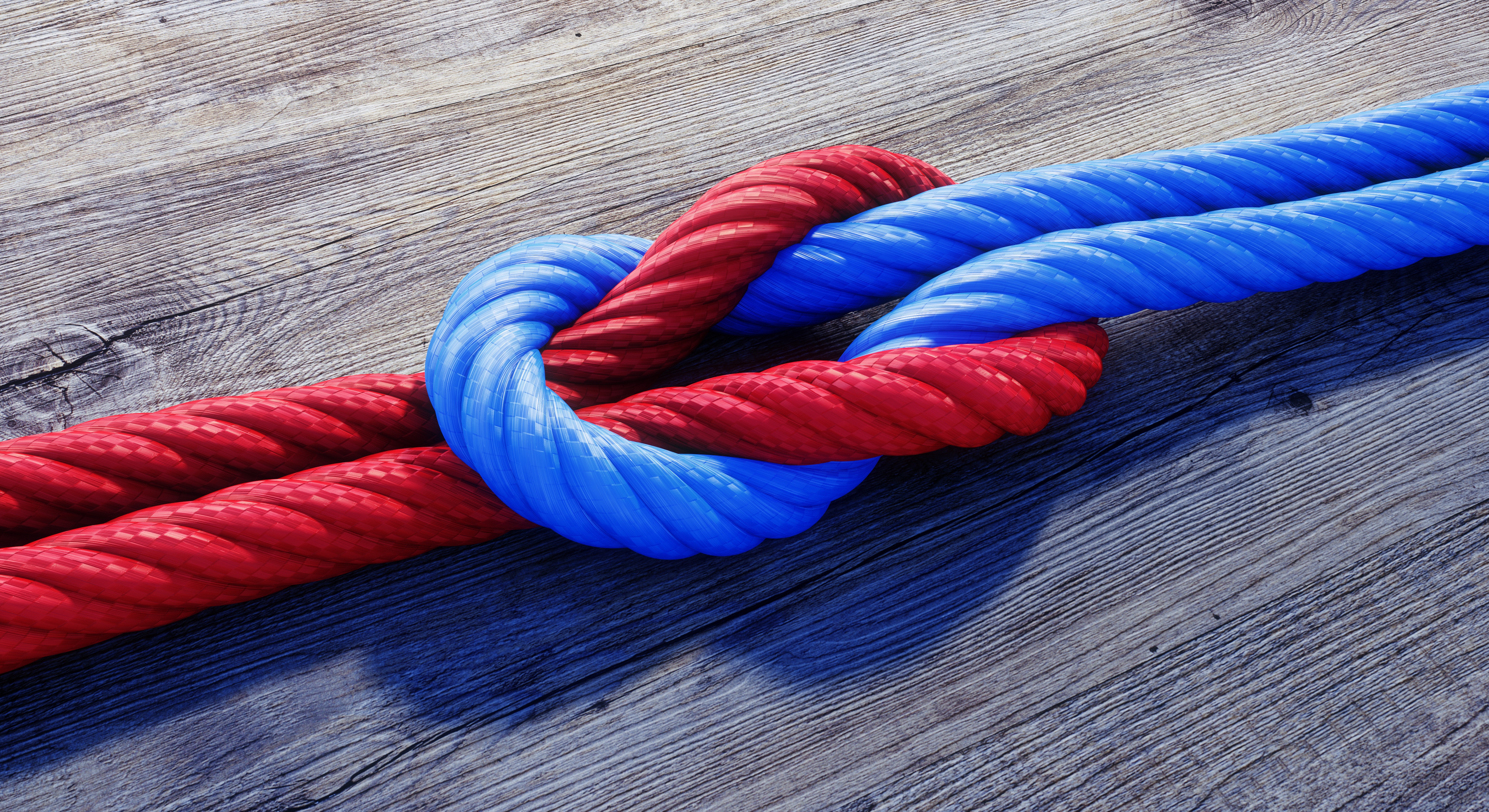 Sense of Belonging at Work